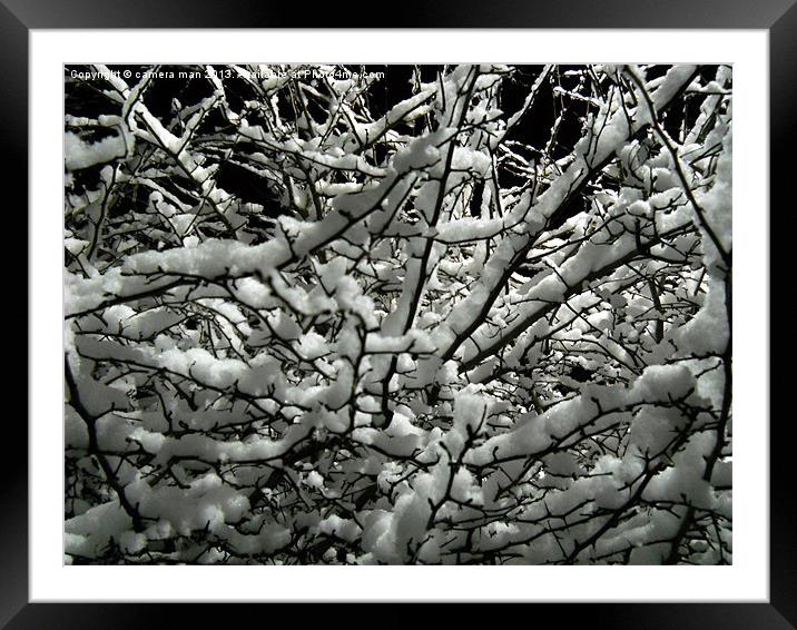 Snow Bush Framed Mounted Print by camera man