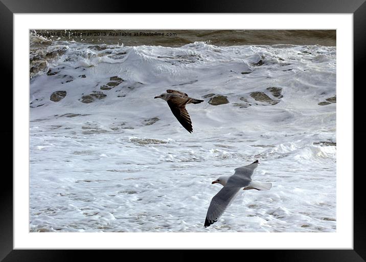 Surfs up Framed Mounted Print by camera man