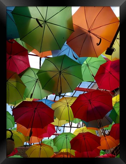 Umbrellas Framed Print by camera man