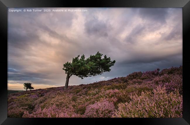 Summer Evening in the Peak District. Framed Print by Rob Turner