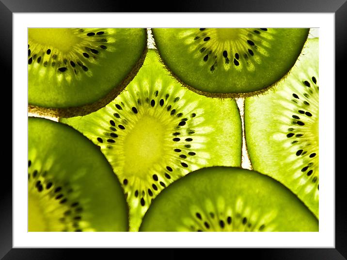 Kiwi Squash. Framed Mounted Print by paul cowles