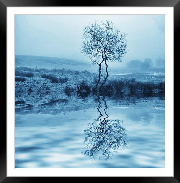 Cold Reflection Framed Mounted Print by paul cowles