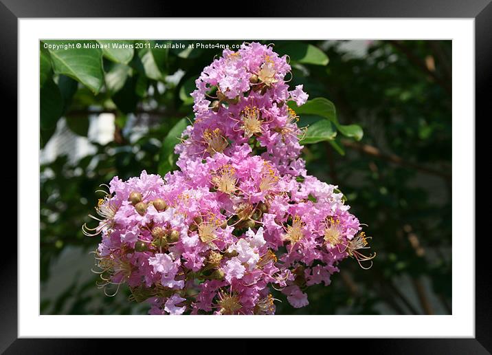 Pink Cross Framed Mounted Print by Michael Waters Photography