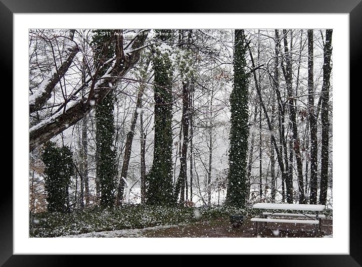 Snow in Atlanta Framed Mounted Print by Michael Waters Photography