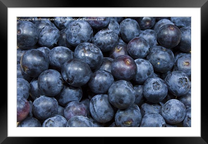 Blueberries Framed Mounted Print by Michael Waters Photography