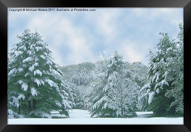 Winter Wonderland in the South Framed Print by Michael Waters Photography