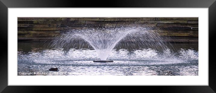 Wet Duck Framed Mounted Print by Michael Waters Photography