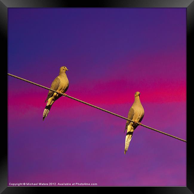 Birds on a Wire Framed Print by Michael Waters Photography