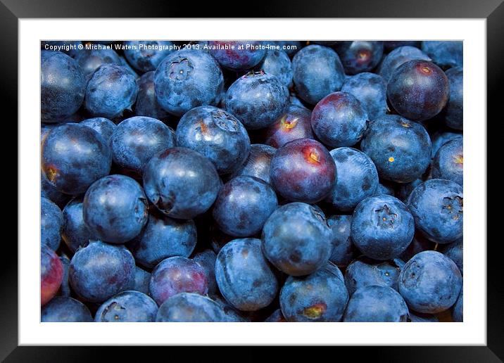 Sweet Blueberries Framed Mounted Print by Michael Waters Photography