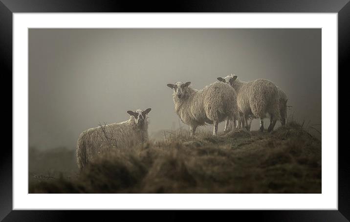  High on a hill Framed Mounted Print by Philip Male