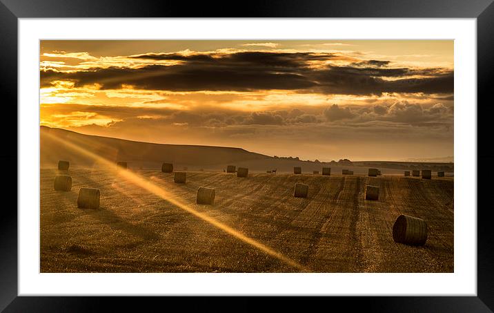  Rolling Framed Mounted Print by Philip Male