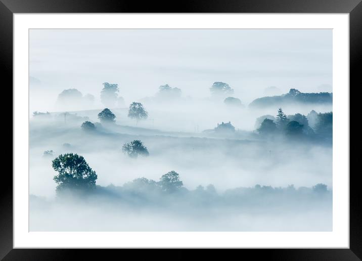 Morning Glory Framed Mounted Print by Philip Male