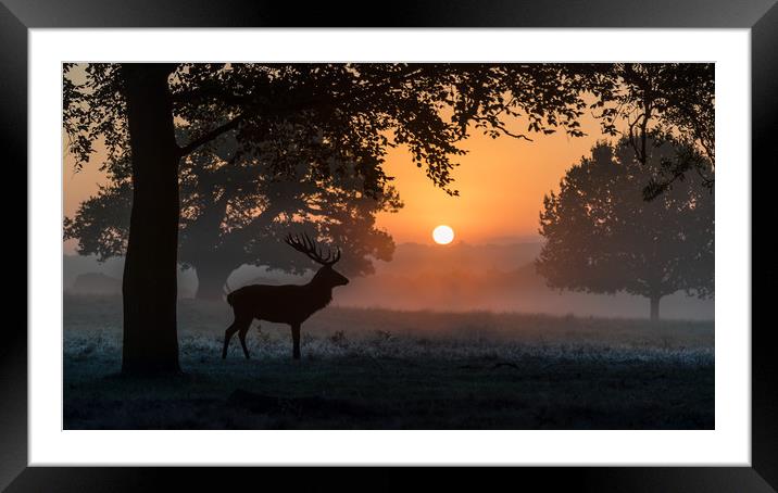 To start another day Framed Mounted Print by Philip Male