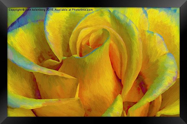  painted yellow rose Framed Print by john kolenberg