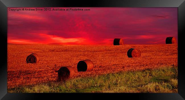 Haystack Dawn Framed Print by Andrew Driver
