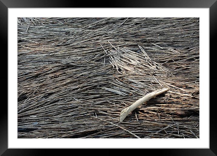 Driftwood at Low Tide Framed Mounted Print by Tom Spann