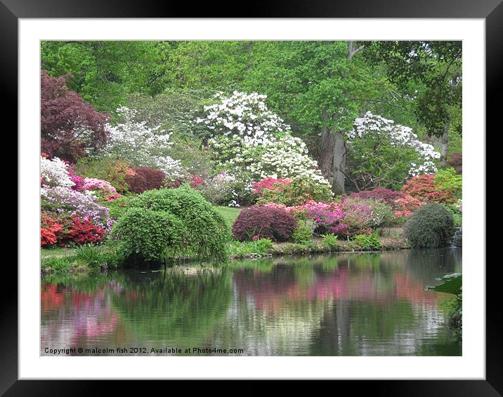 Riot  of April Colour Framed Mounted Print by malcolm fish