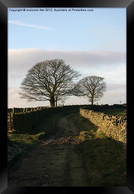 Bridleway Framed Print by malcolm fish