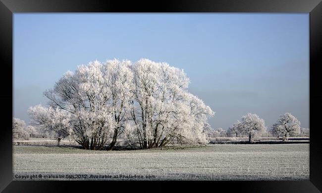 Frosty Morning Framed Print by malcolm fish