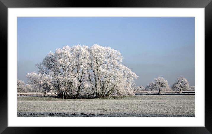 Frosty Morning Framed Mounted Print by malcolm fish