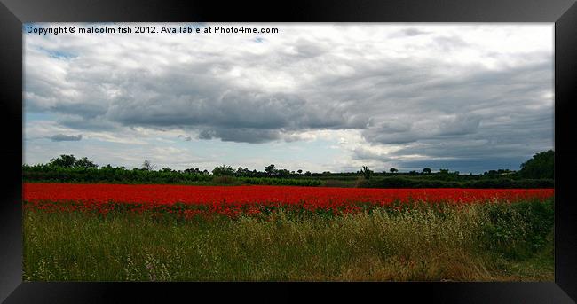 Champ Des Coquelicots (deux) Framed Print by malcolm fish