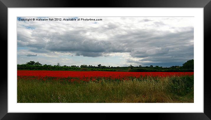 Champ Des Coquelicots (deux) Framed Mounted Print by malcolm fish