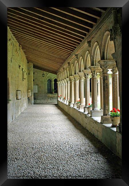 South Gallery Saint-Papoul Abbey. Framed Print by malcolm fish