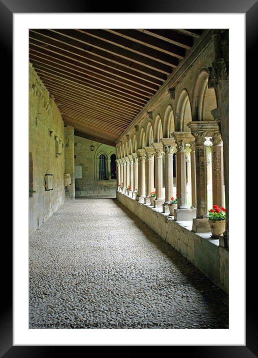 South Gallery Saint-Papoul Abbey. Framed Mounted Print by malcolm fish