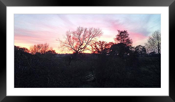 Sunset behind the trees Framed Mounted Print by malcolm fish