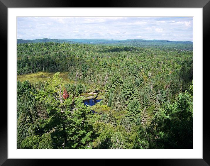 View over Algonquin National Park, Canada Framed Mounted Print by Helen Massey