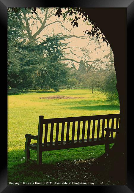 Bench under a tree Framed Print by Jasna Buncic