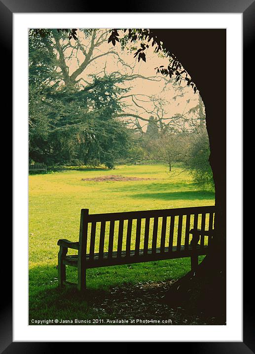Bench under a tree Framed Mounted Print by Jasna Buncic