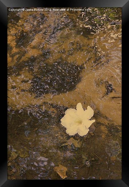 Floating Downstream Vertical Framed Print by Jasna Buncic