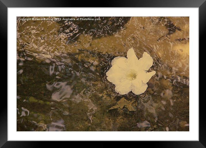 Floating Downstream Framed Mounted Print by Jasna Buncic