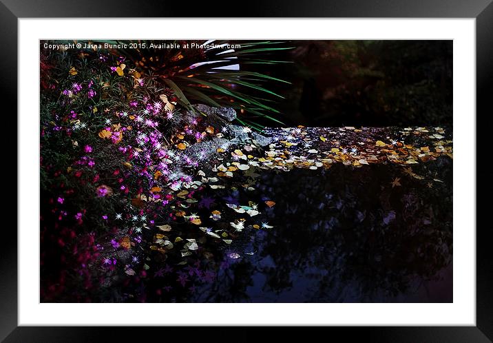 Midnight Oasis Framed Mounted Print by Jasna Buncic