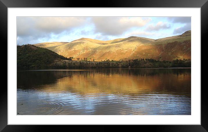 Golden Hills Framed Mounted Print by rob woolcott