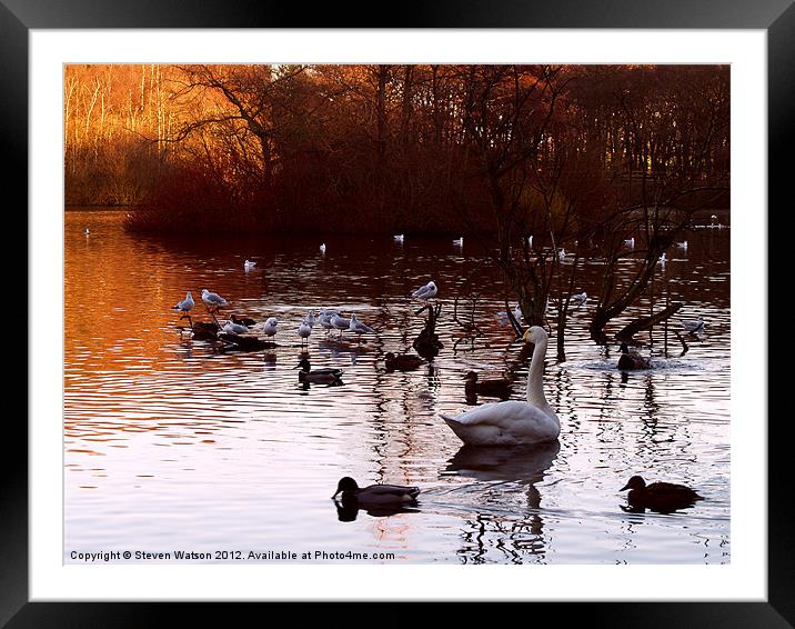 Tranquility by the Lake Framed Mounted Print by Steven Watson
