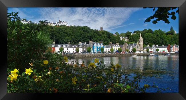 Tobermory Framed Print by Steven Watson