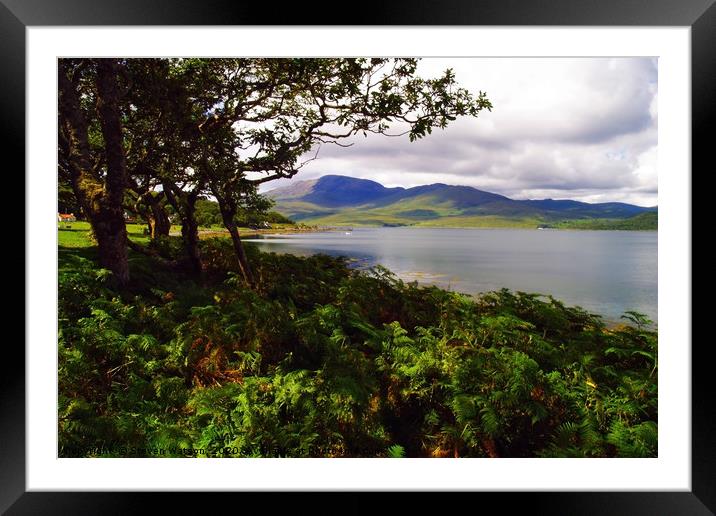 At remote Croggan on Loch Spelve Framed Mounted Print by Steven Watson