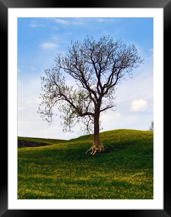 A Keld Tree Framed Mounted Print by Steven Watson