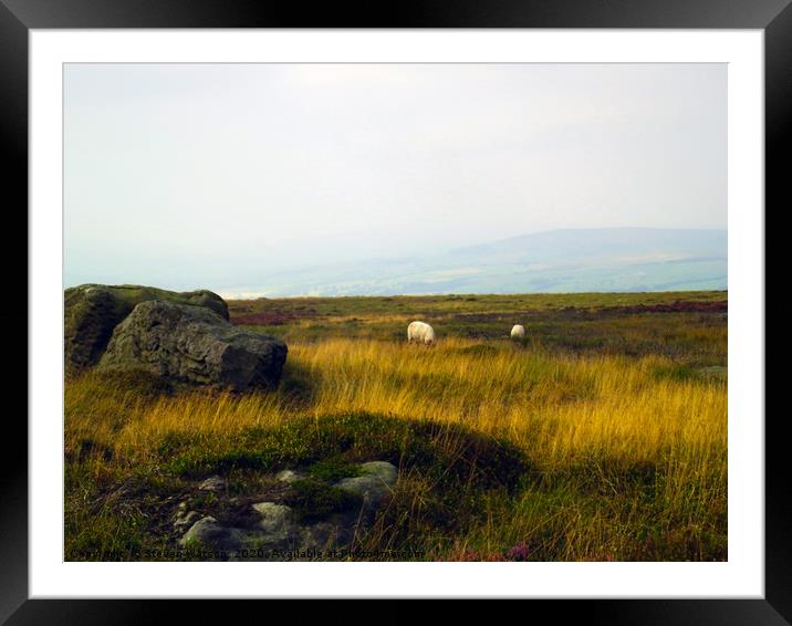 At Thimblestones Framed Mounted Print by Steven Watson