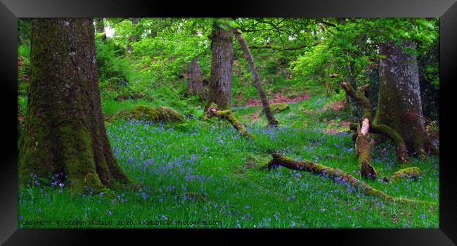 Ashness Woodland Framed Print by Steven Watson