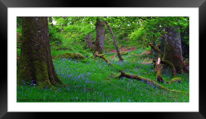 Ashness Woodland Framed Mounted Print by Steven Watson