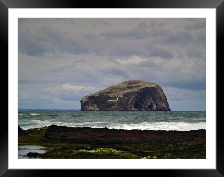 Bass Rock Framed Mounted Print by Steven Watson