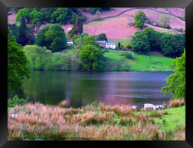 Rydal Water Framed Print by Steven Watson