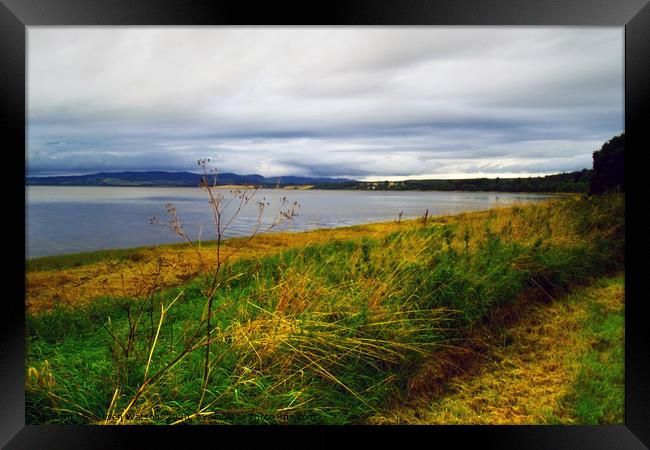 The Beauly Firth Framed Print by Steven Watson