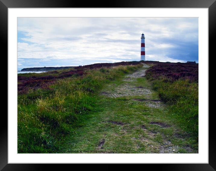 At Tarbat Ness in Easter Ross, Scotland Framed Mounted Print by Steven Watson