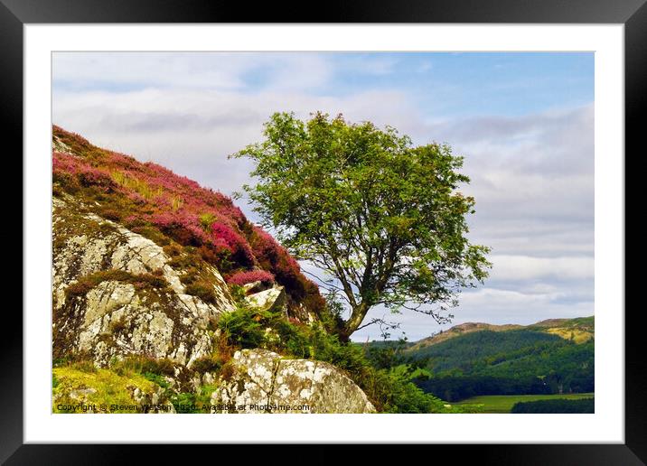 Dunadd Rowan (Colour)  Framed Mounted Print by Steven Watson