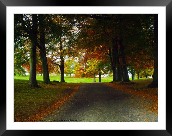 Autumn Framed Mounted Print by Steven Watson