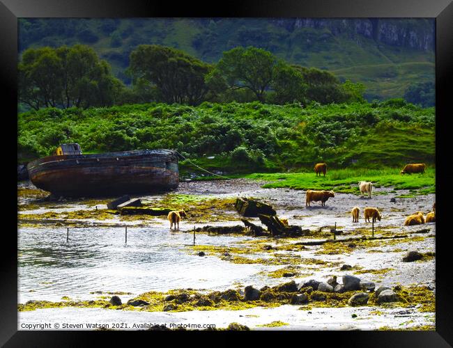 Saltbeef Framed Print by Steven Watson